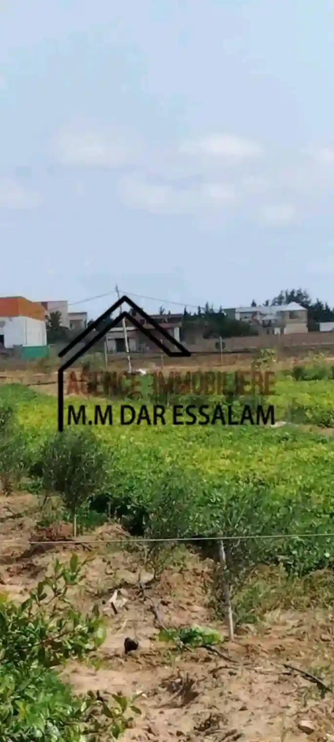 Terrain Agricole à Vendre - Vue 2