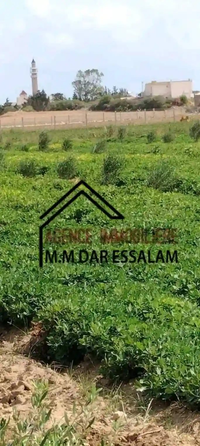 Terrain Agricole à Vendre - Vue 3