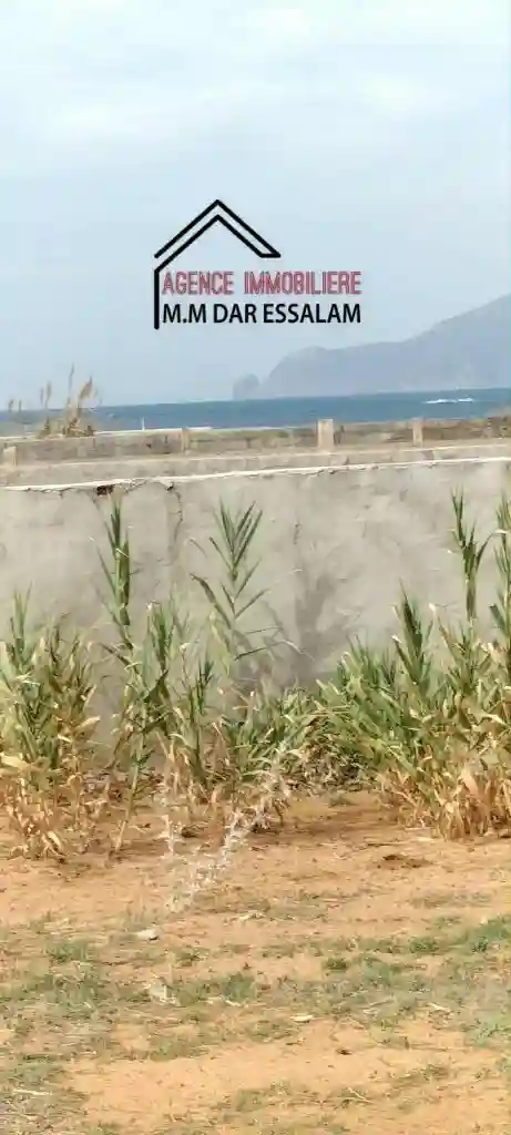 Terrain Près de la mer à Vendre - Vue 2