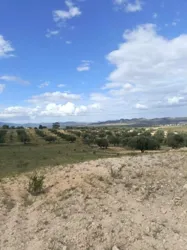 Av 4100m à Zriba Zaghouan