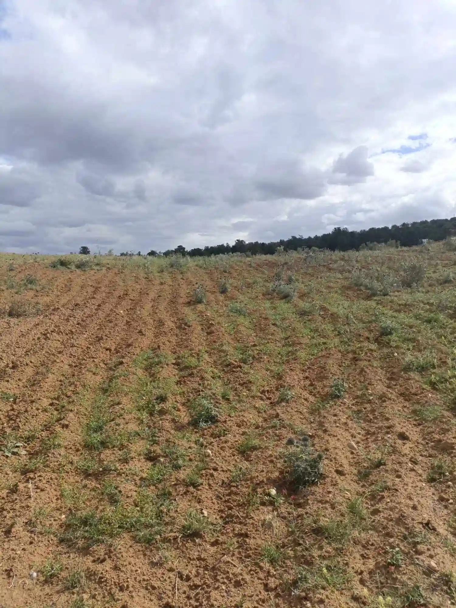 Av 4100m à Zriba Zaghouan - Vue 2