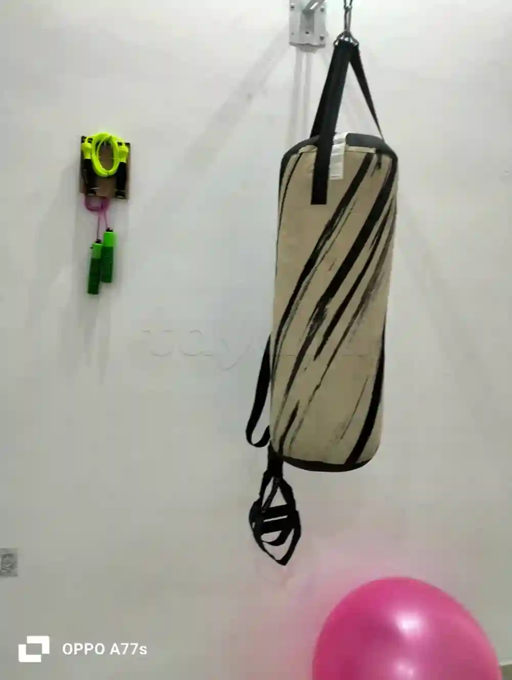 Equipement de Salle de Sport - Vue 2