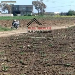 Terrain Agricole Bien Équipée