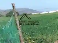 Terrain Agricole Bien Équipée - Vue 4