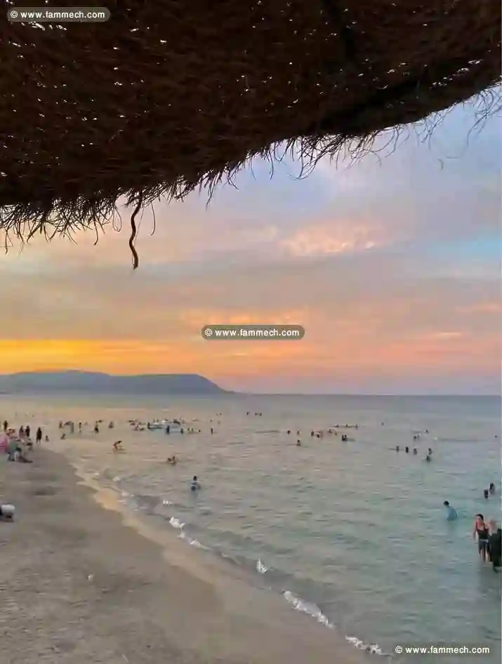 des Lots de Terrain Près de la mer - Vue 3