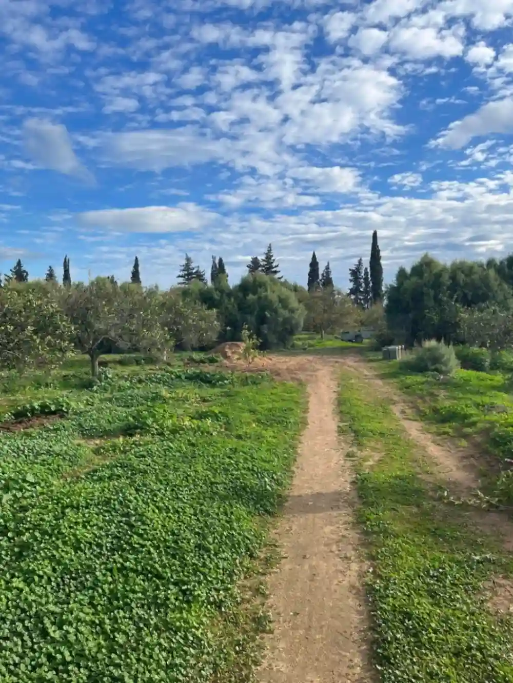 Dar Louzir Maison de Vacances à Tazarka - Vue 4