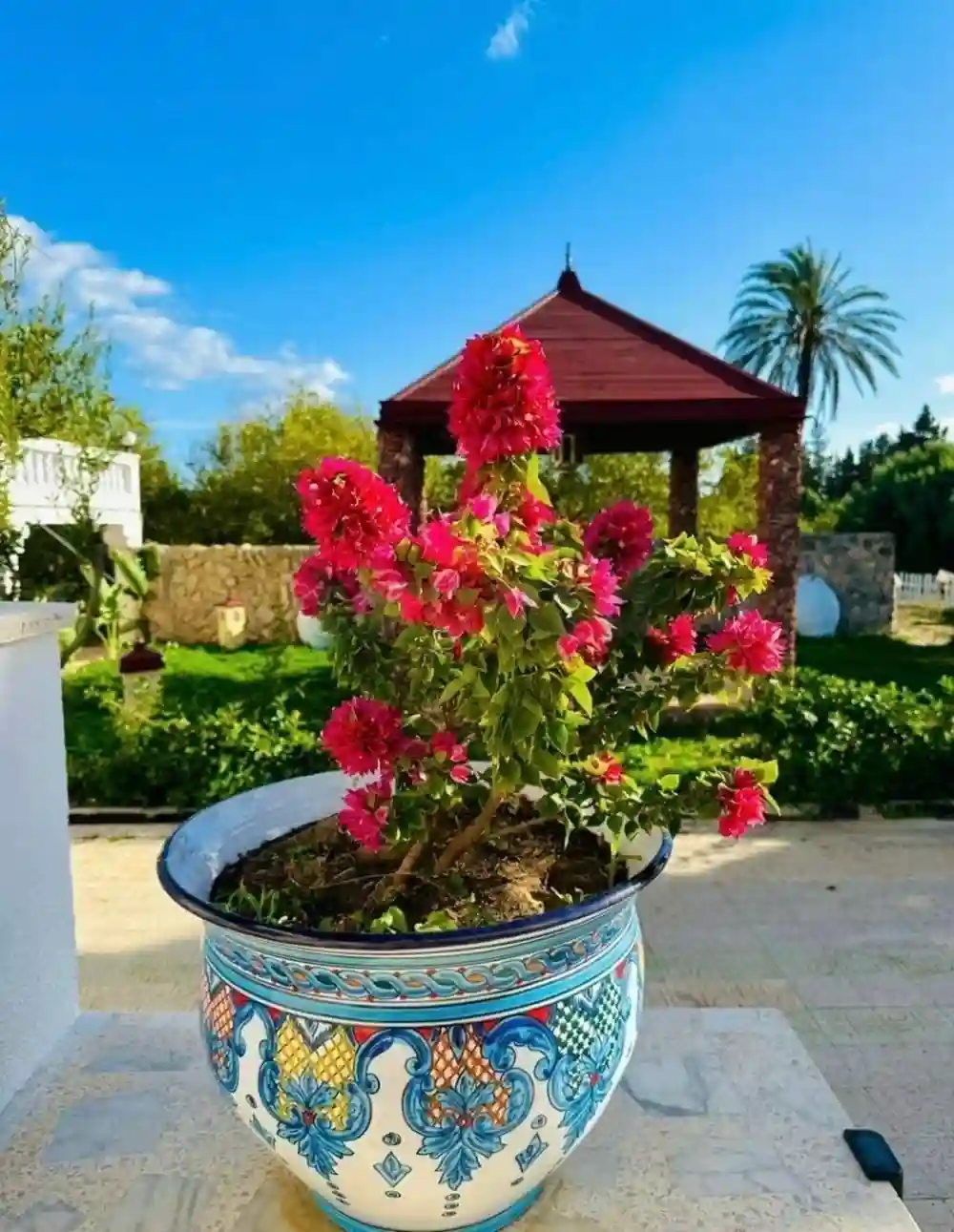 Dar Louzir Maison de Vacances à Tazarka - Vue 7