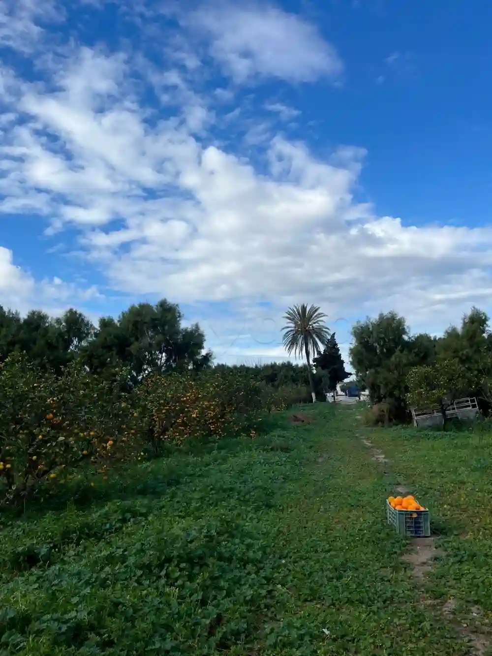 Dar Louzir Maison de Vacances à Tazarka - Vue 8