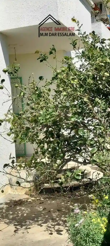 Maison Indépendante à el Haouaria à El Haouaria - Vue 1