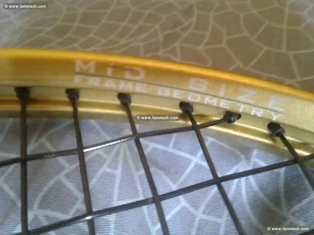 Raquette Tennis Marque Wilson - Vue 4