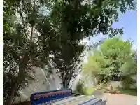 Appartement Papillon Hammamet Nord Av1978 - Vue 10