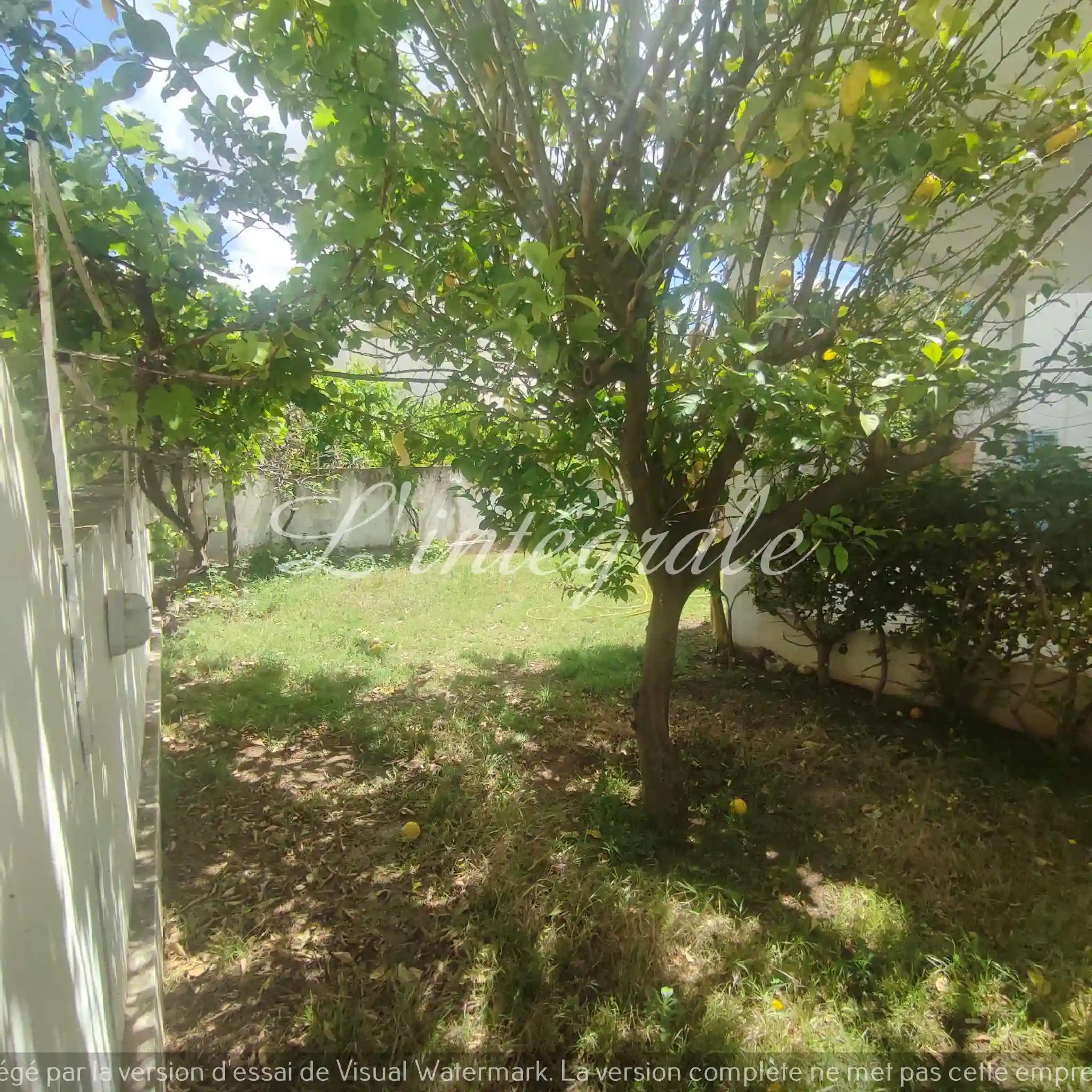 Magnifique Villa Commerciale de 3 Niveaux à Cite Ennasr 2 - Vue 3