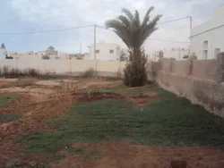 Terrain de 1430 m² Route el ain km