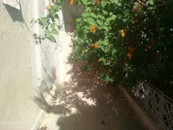 Maison Sidii Achour Nabeul à Cite Mohsen Limam