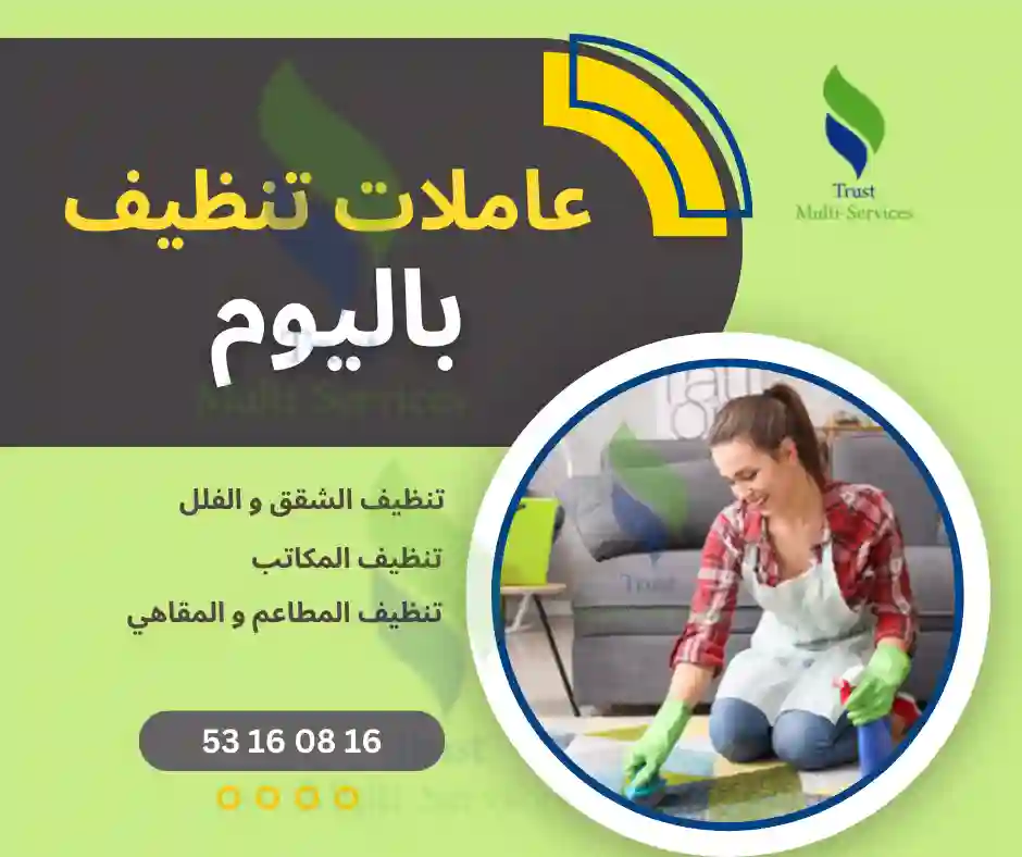 عاملة تنظيف باليوم في المنزه 3