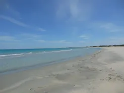 Belle Opportunité D’investissement