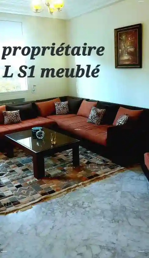 Excellent S1 Meublé Ennasr2 Pour Étranger - Vue 6