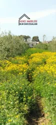 Terrain Agricole Contenant une Villa