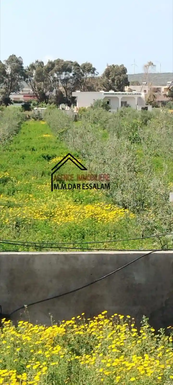 Terrain Agricole Contenant une Villa - Vue 1