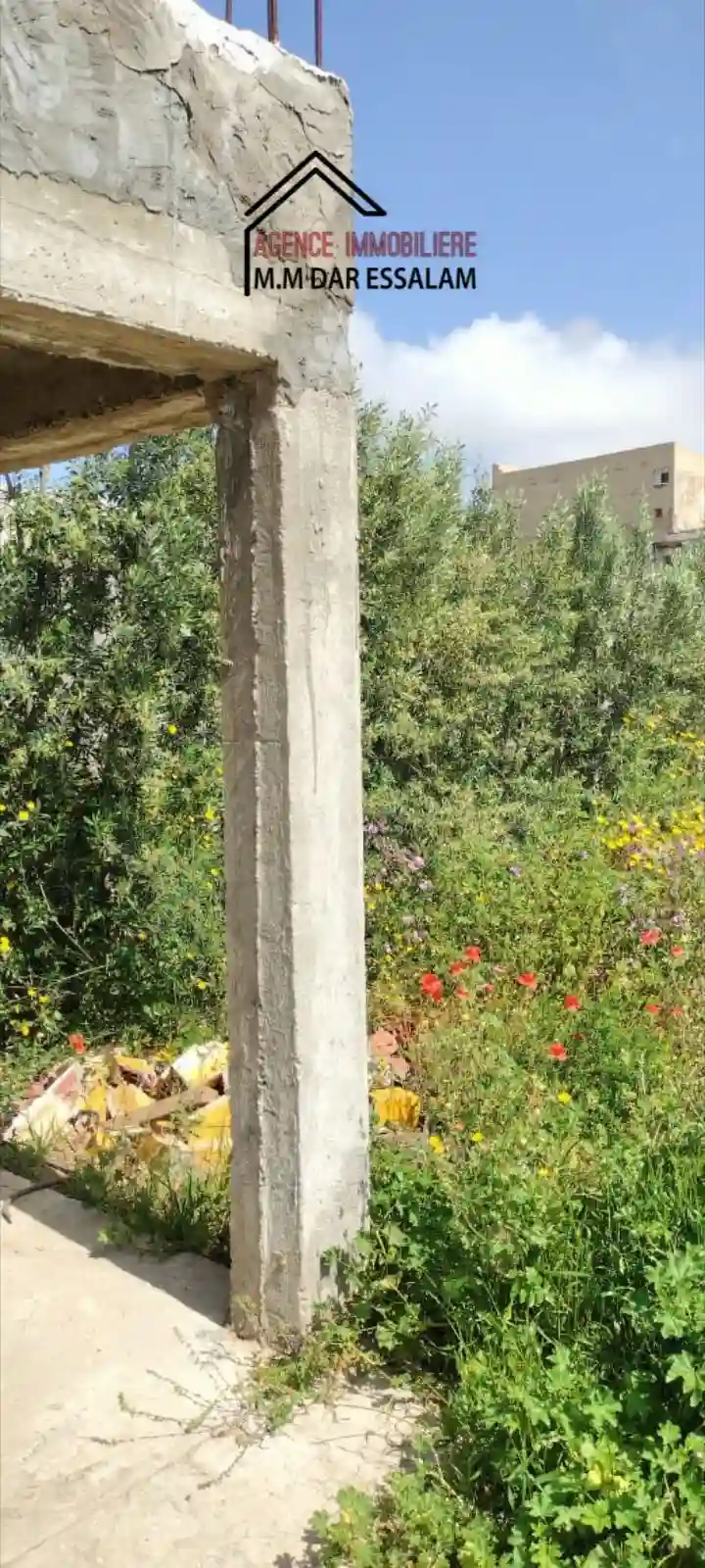 Terrain Agricole Contenant une Villa - Vue 3