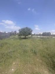 Un lot de Terrain de 460m2 à Mannouba à La Mannouba