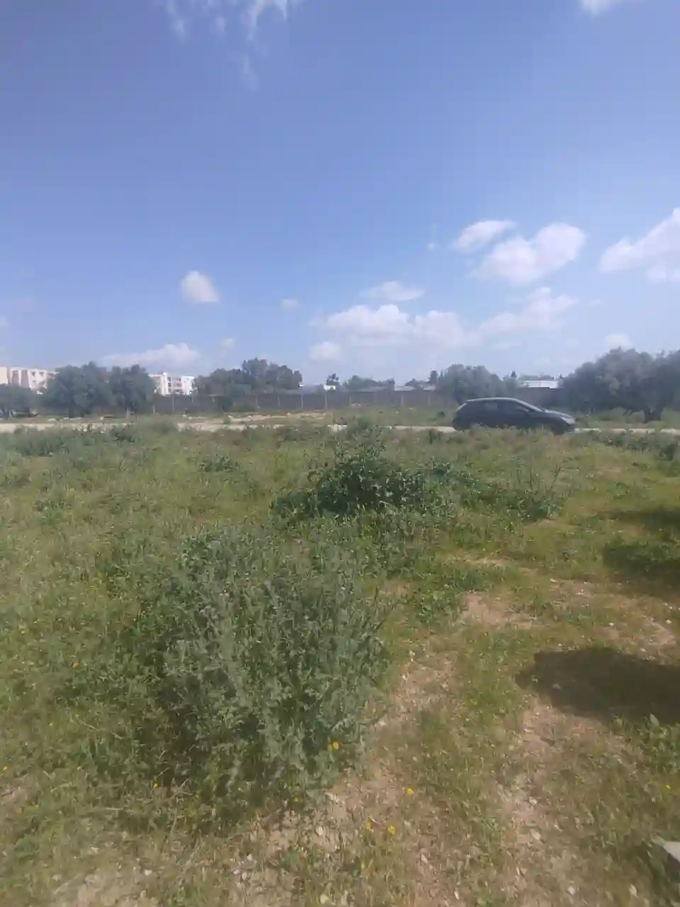 Un lot de Terrain de 460m2 à Mannouba à La Mannouba - Vue 1