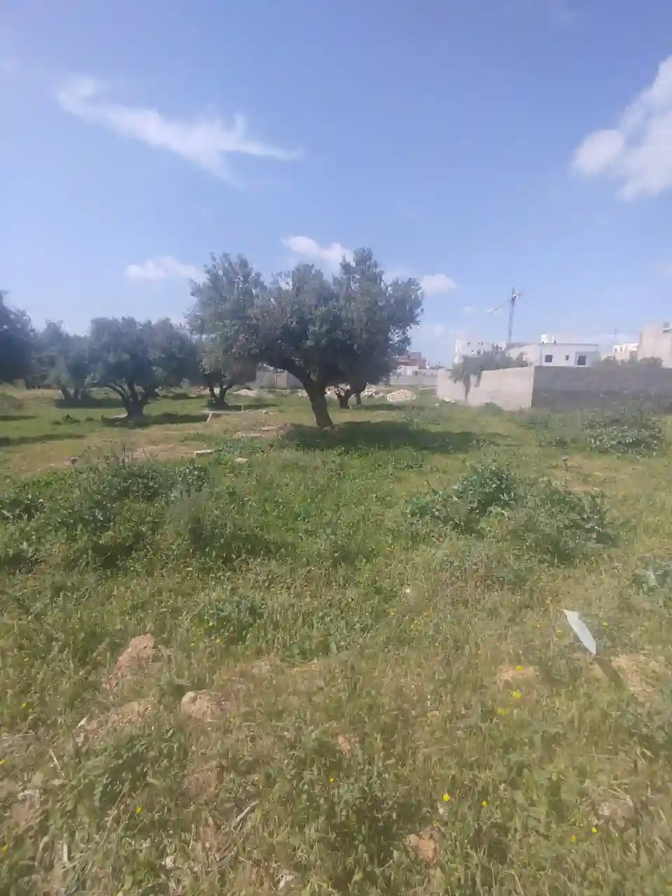 Un lot de Terrain de 460m2 à Mannouba à La Mannouba - Vue 3