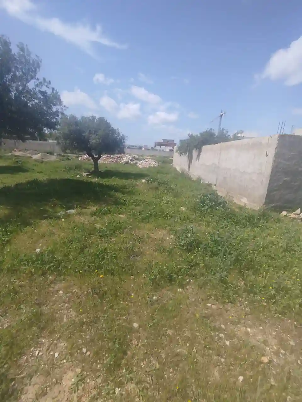 Un lot de Terrain de 460m2 à Mannouba à La Mannouba - Vue 4