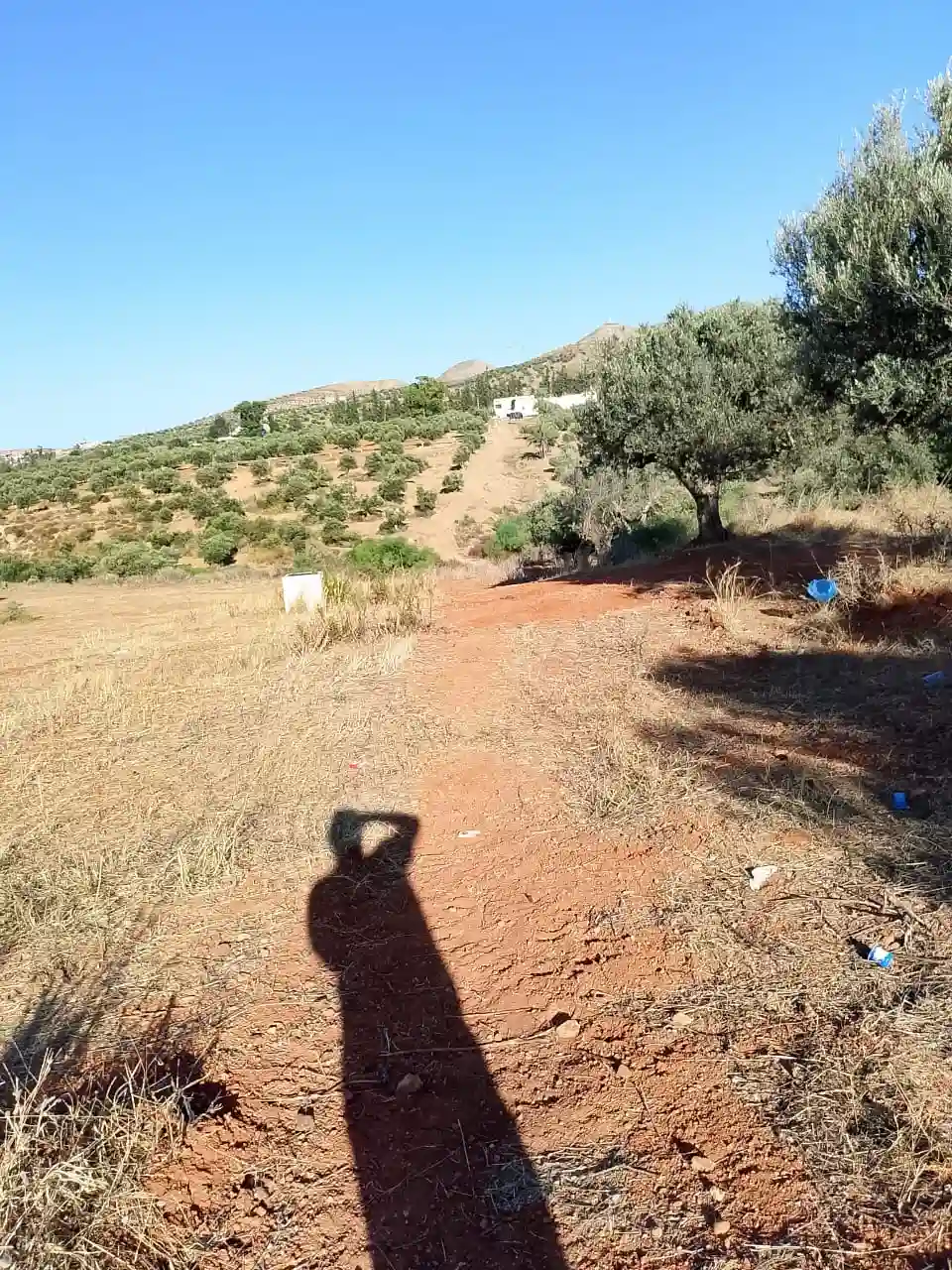 Terrain de 1 Hectare à Sidi Thabet Jabbes à Sidi Thabet - Vue 1