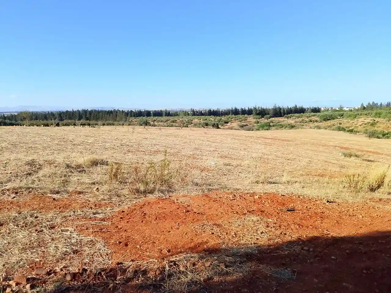Terrain de 1 Hectare à Sidi Thabet Jabbes à Sidi Thabet - Vue 2