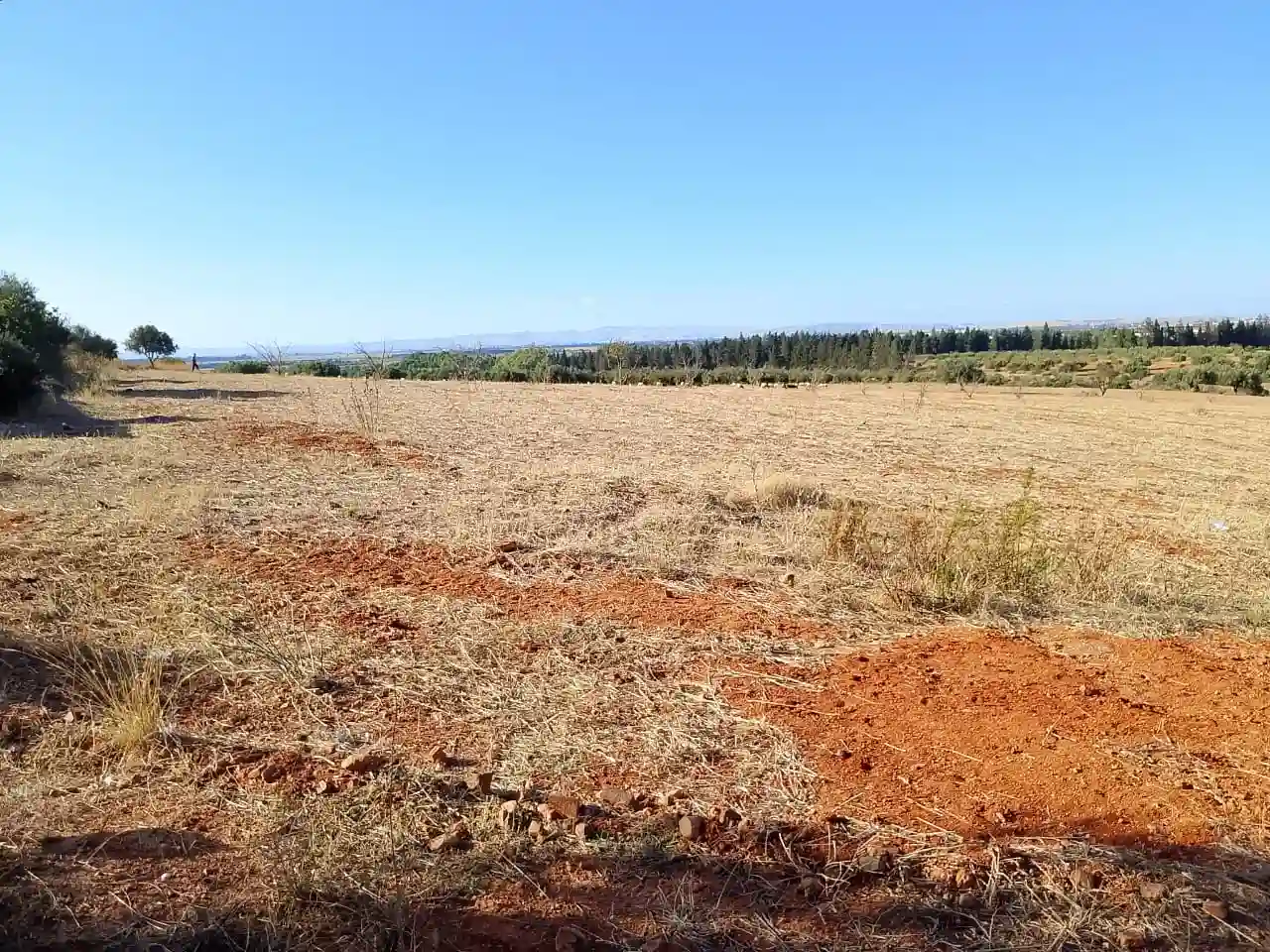 Terrain de 1 Hectare à Sidi Thabet Jabbes à Sidi Thabet - Vue 3