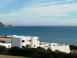 Des Lots l Hawaria Chat Kebli à El Haouaria