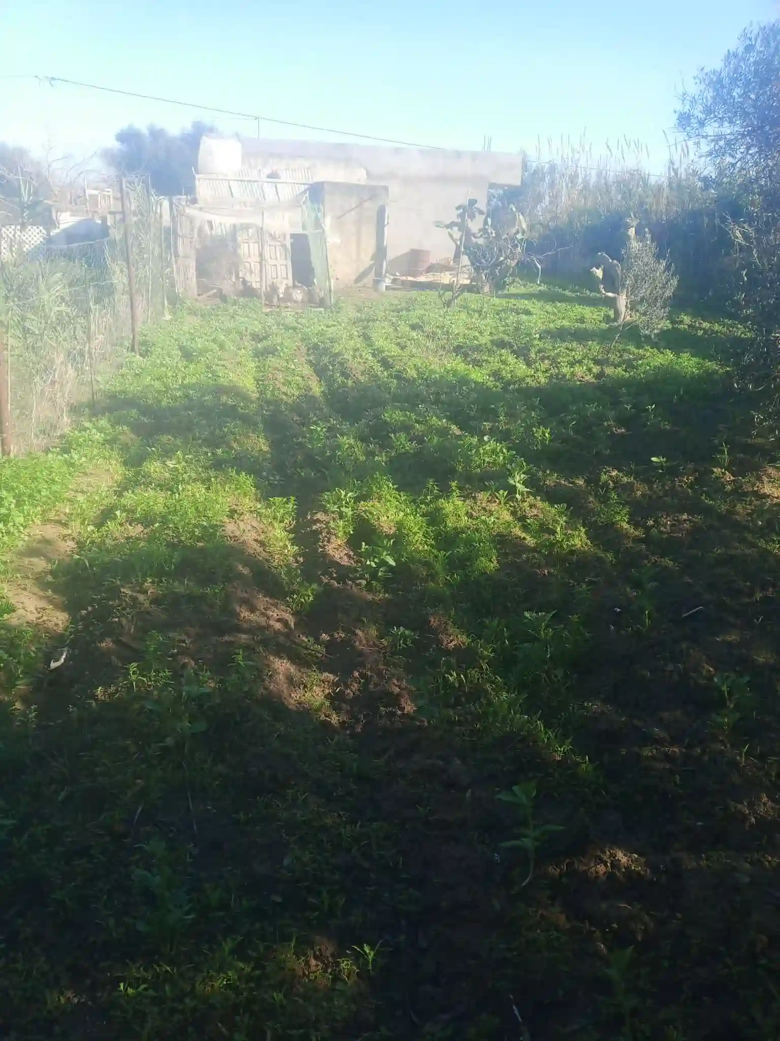 Maison a Kelibia Opportunité a ne pas Raté à Dar Allouche - Vue 2