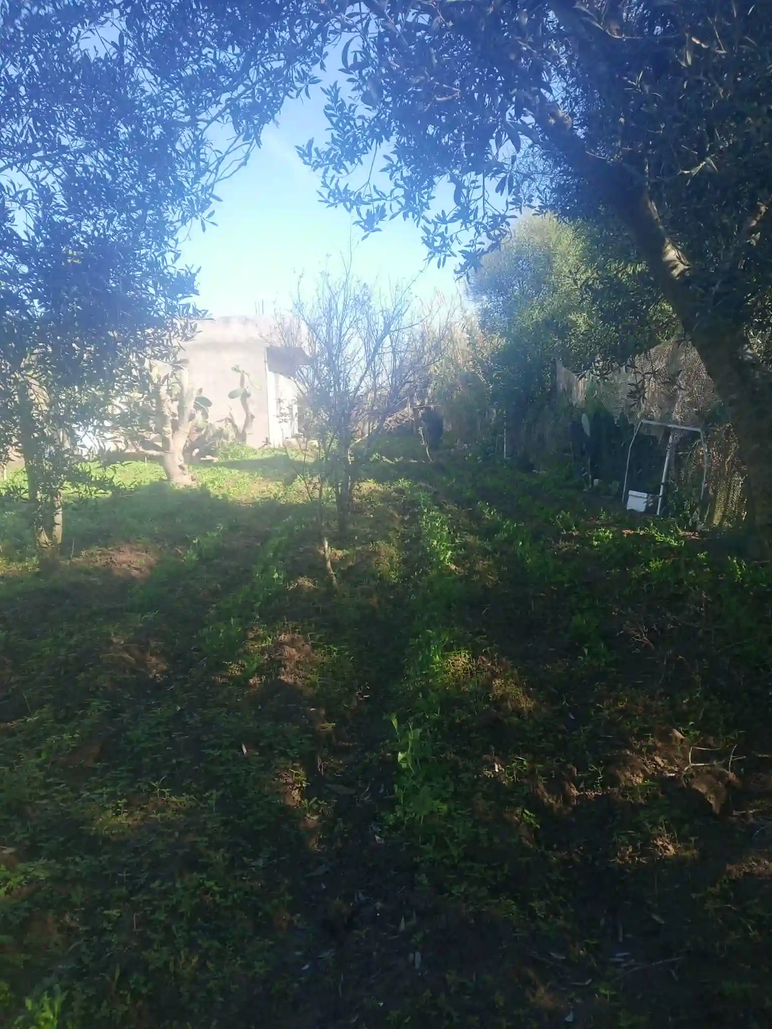 Maison a Kelibia Opportunité a ne pas Raté à Dar Allouche - Vue 3