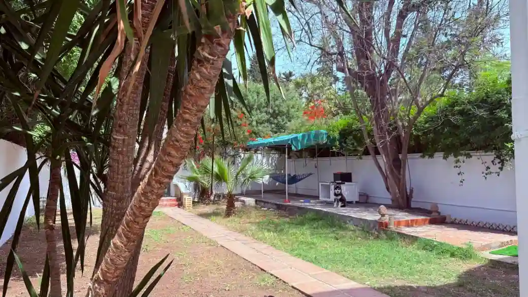 Villa de 462 m sur Deux Niveaux a Menzah 1 à El Menzah 1 - Vue 2