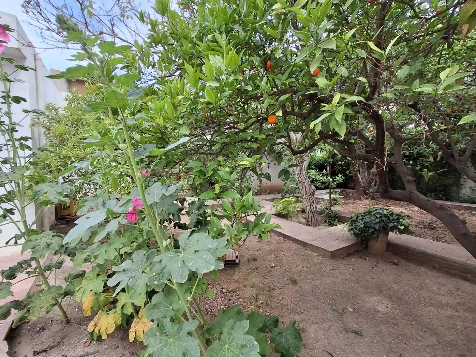 Villa à Rénover à la Marsa à Marsa Ennassim - Vue 1